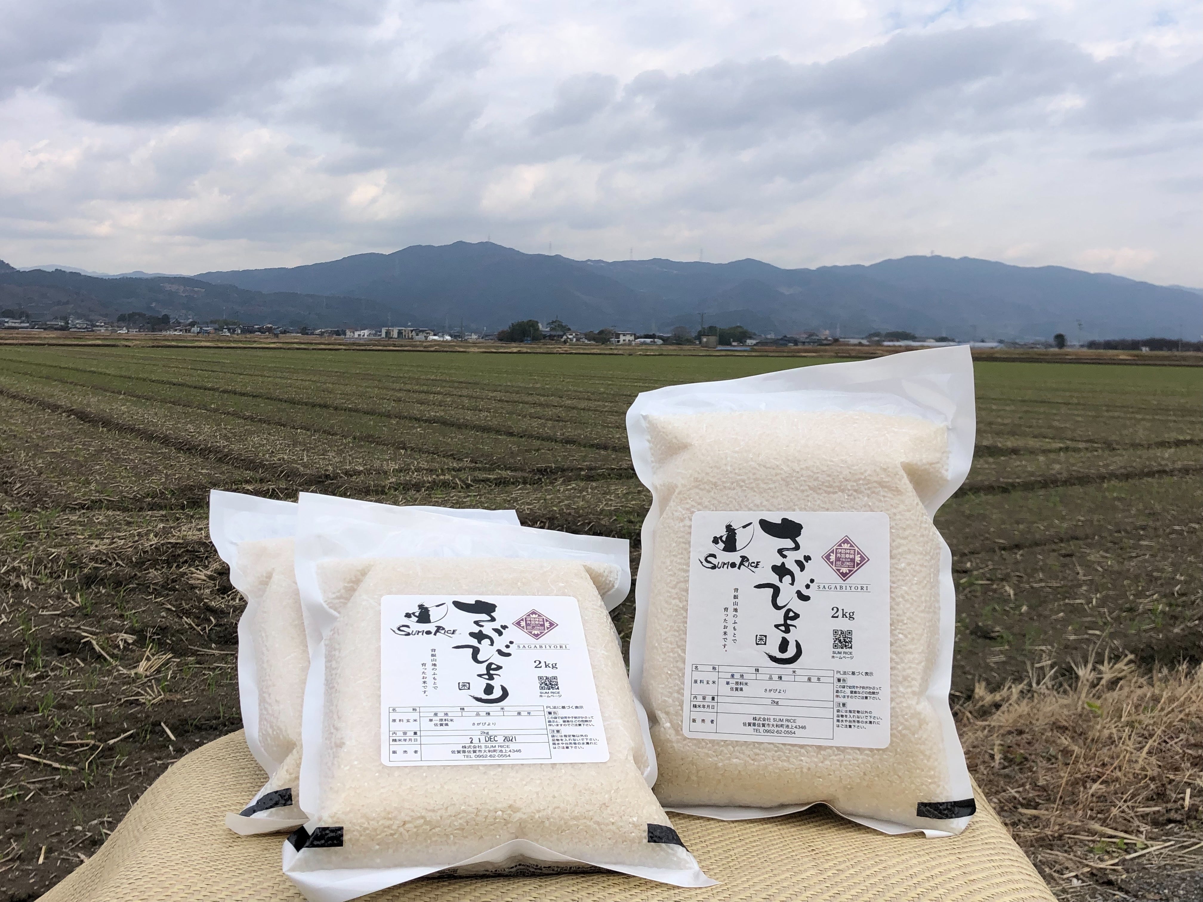 新米、さがびより 新米予約】さがびより 5kg – RICE DAO