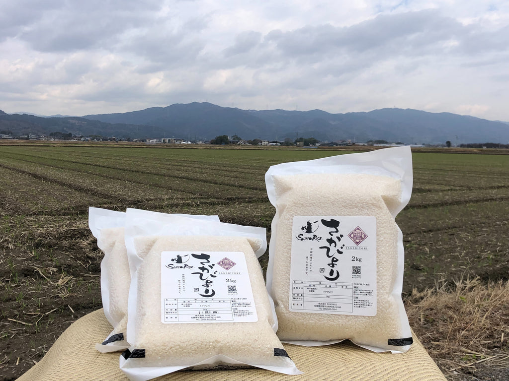 【定期便】さがびより